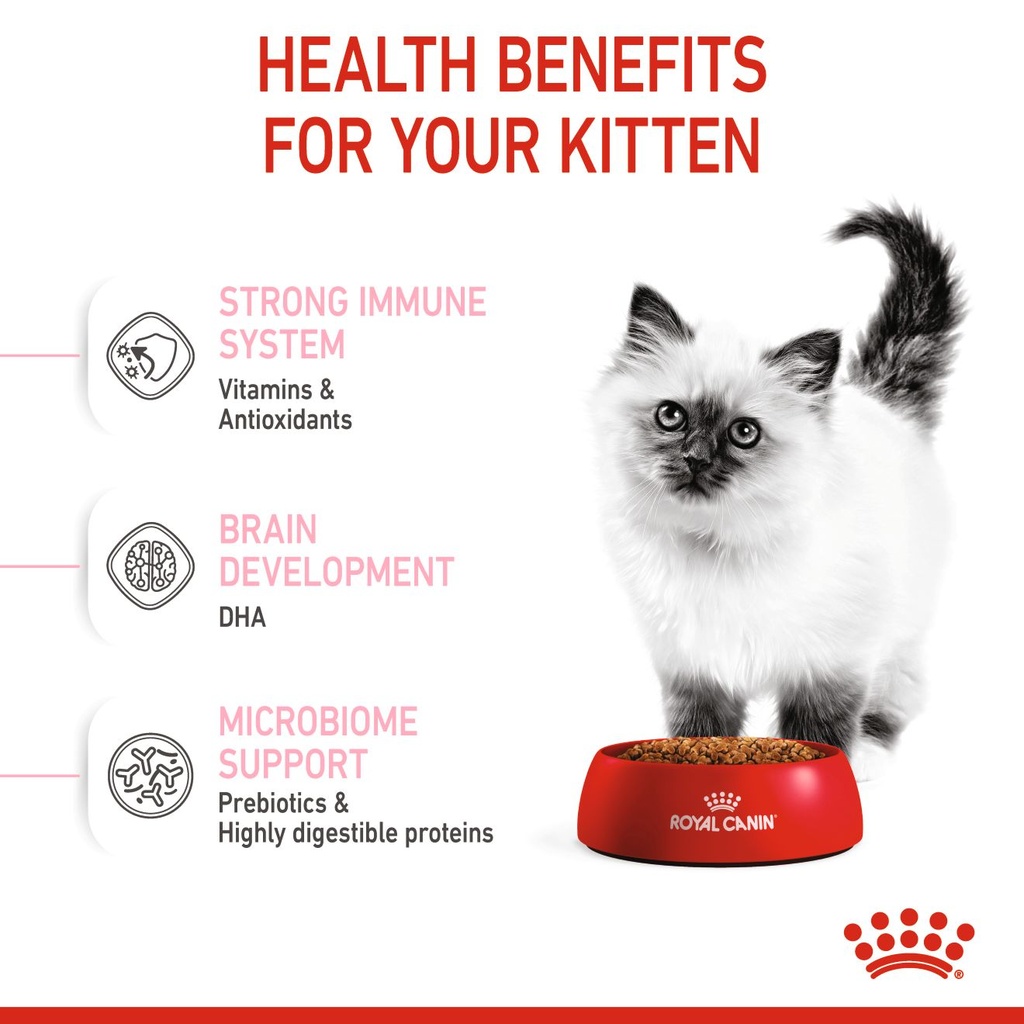 Royal canin best sale kitten 400gr